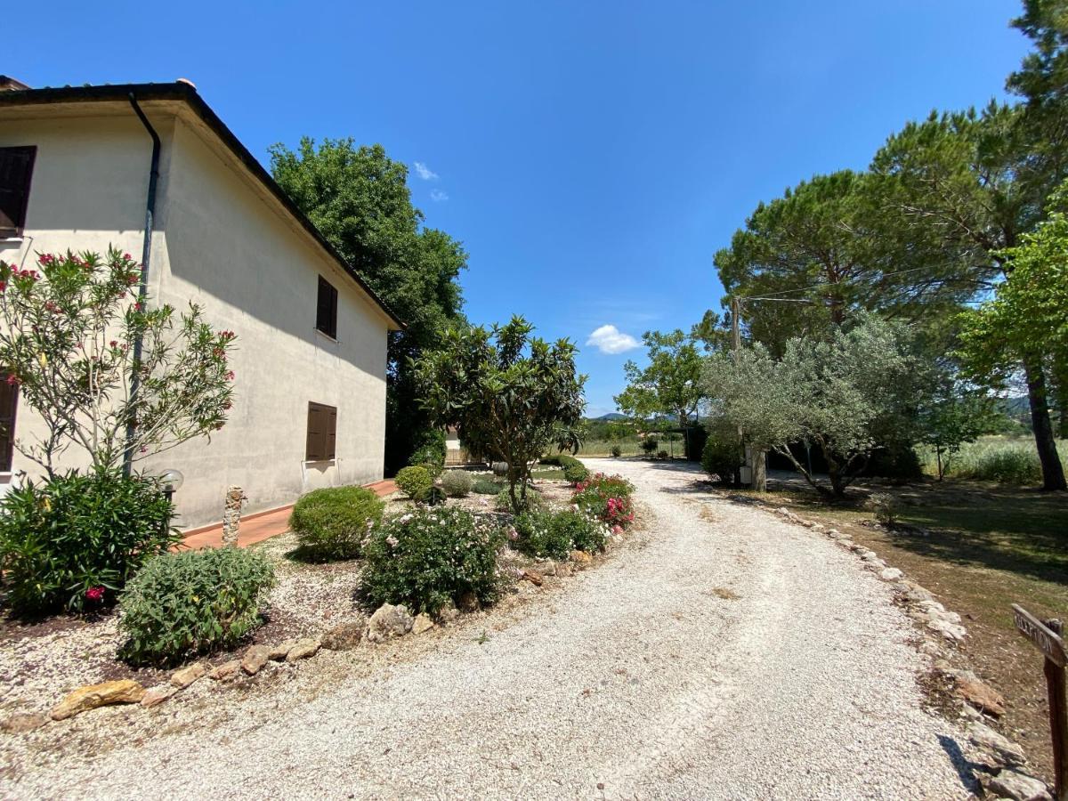 B&B 8380 - Pian Del Molino Saturnia Exterior foto